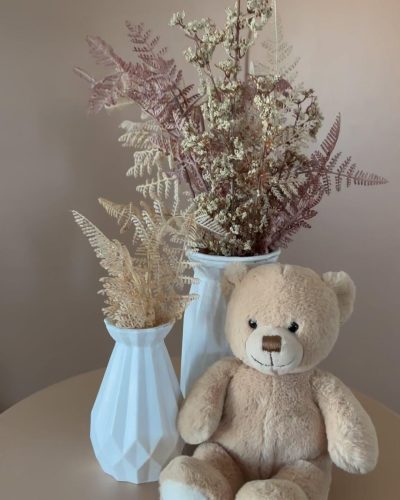 imgi_50_491460281_1328093384949142_6488811544505323973_n